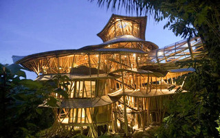 многоэтажный дом будущее гриб конопля бамбук